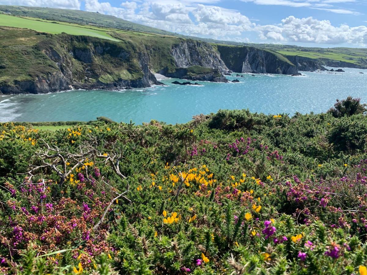 Dylan Thomas Sea View Bed & Breakfast Laugharne Ngoại thất bức ảnh